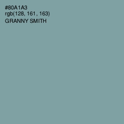 #80A1A3 - Granny Smith Color Image